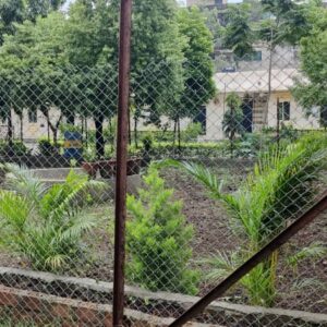 garden2