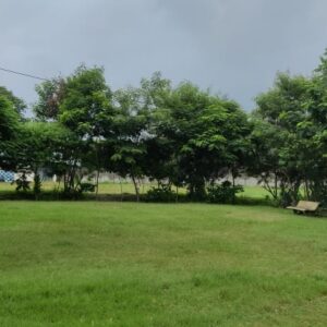 grassgarden3