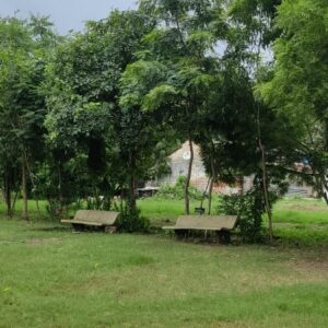 grassgarden4