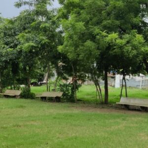 grassgarden5